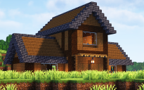 Survival House #16